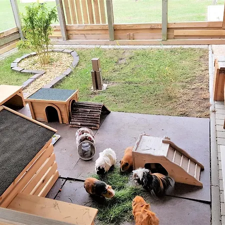 Holiday home Am Alten Speicher 1